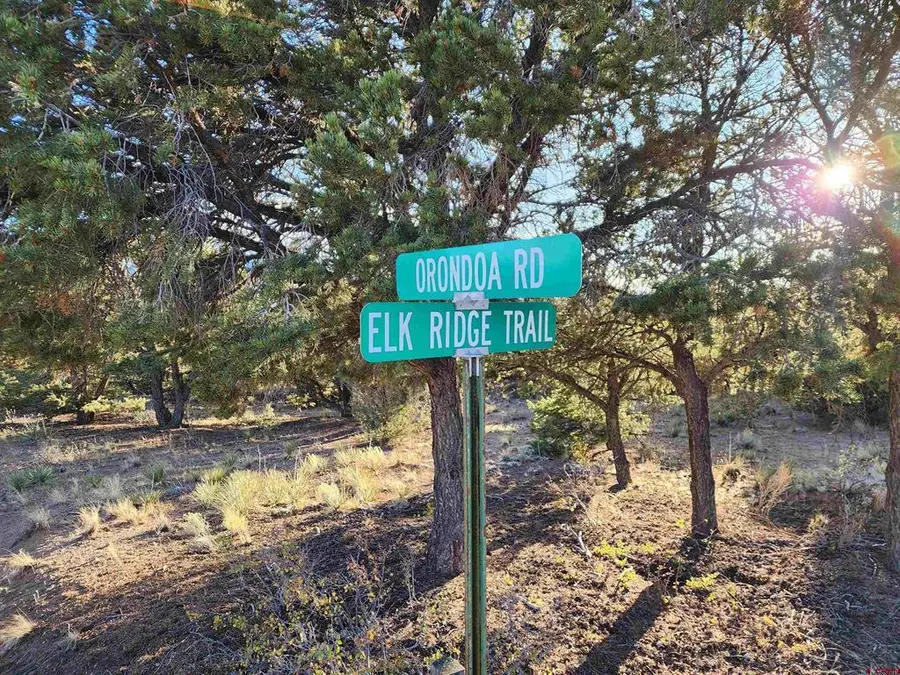 580 Kit Carson Rd, South Fork, CO 81154 - #2