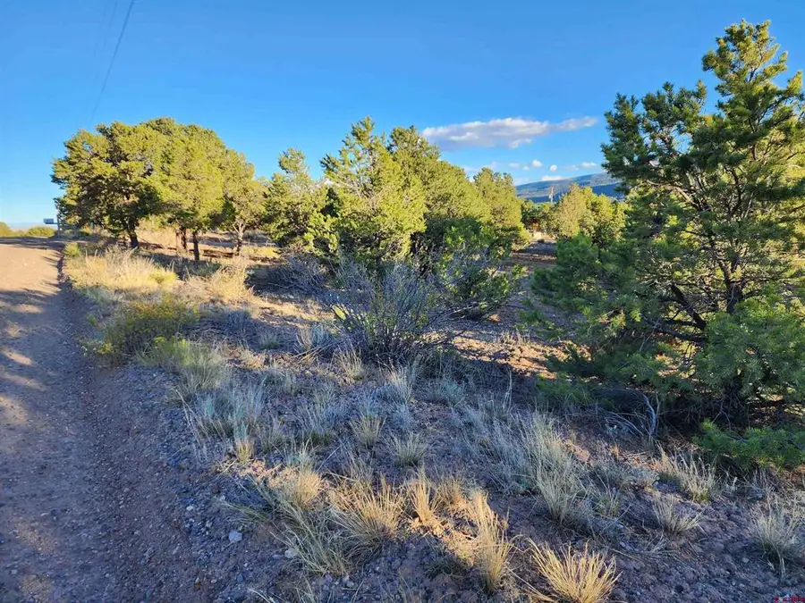 580 Kit Carson Rd, South Fork, CO 81154 - #3