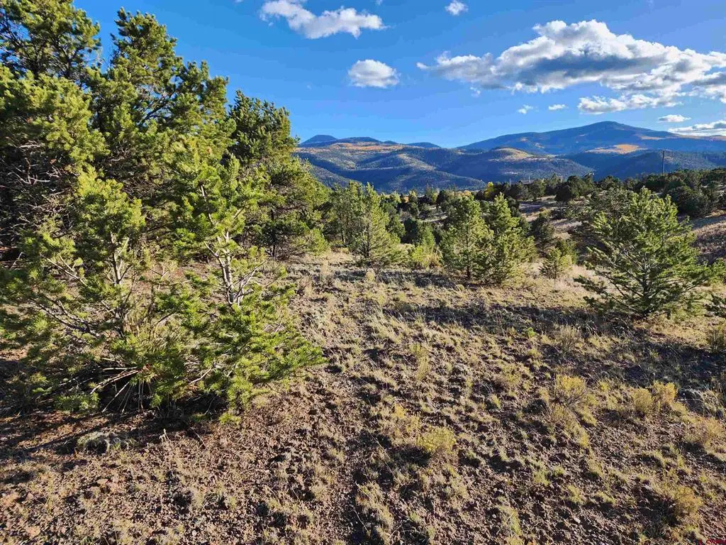 559 Orondoa Rd, South Fork, CO 81154 - #1