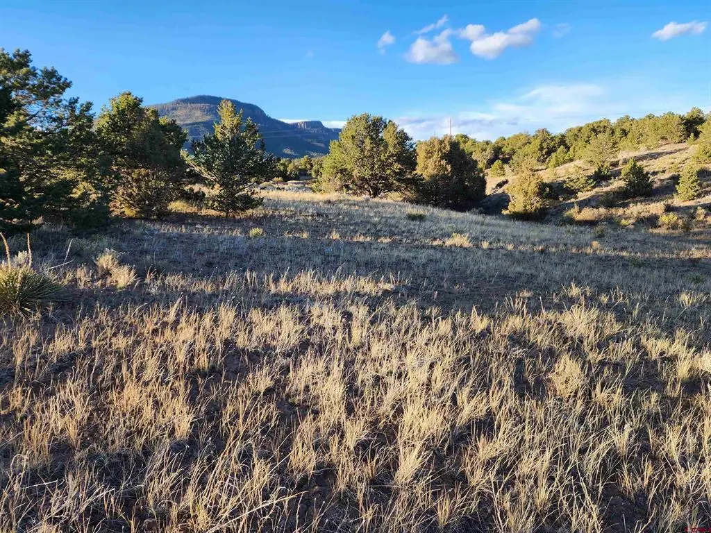 512 Kit Carson Rd, South Fork, CO 81154 - #1