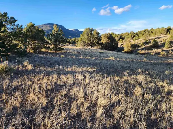 512 Kit Carson Rd, South Fork, CO 81154