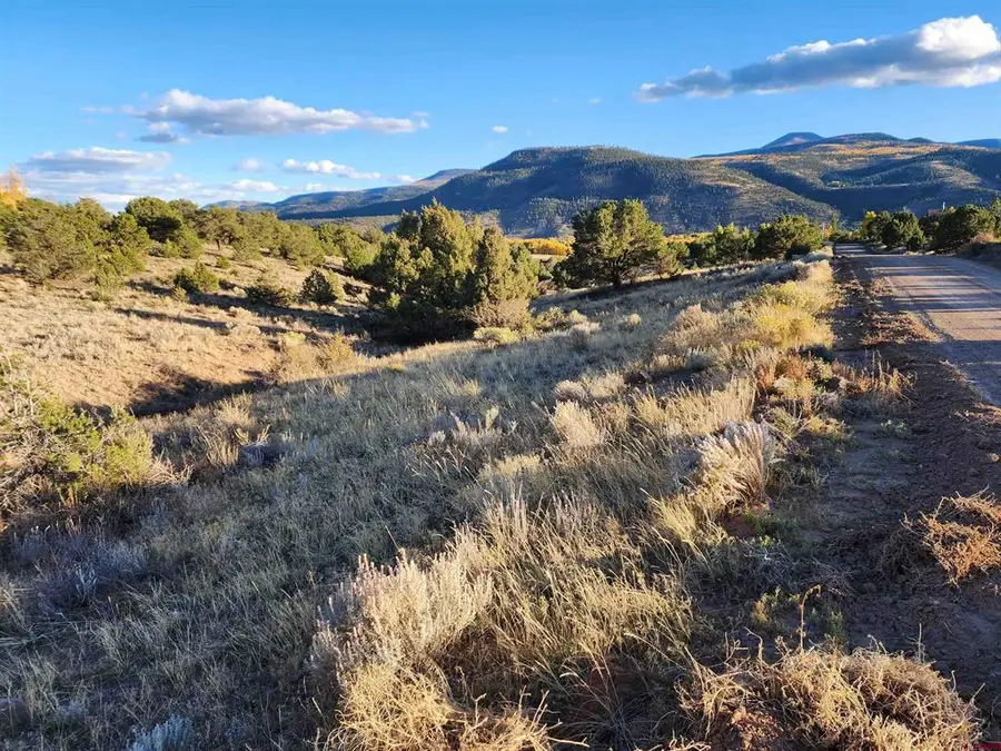 512 Kit Carson Rd, South Fork, CO 81154 - #2