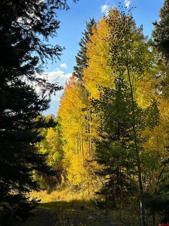 TBD Tract 13 County Road 5, Ridgway, CO 81432 - #2