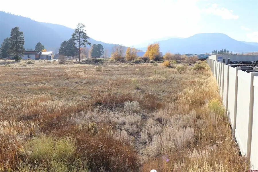117 Bonnaville Drive, South Fork, CO 81154 - #2