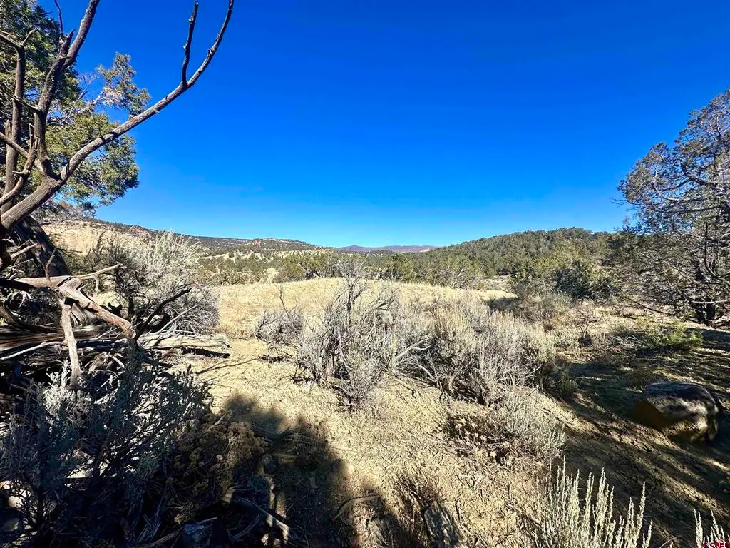 TBD Cactus Park Road, Cedaredge, CO 81413 - #1