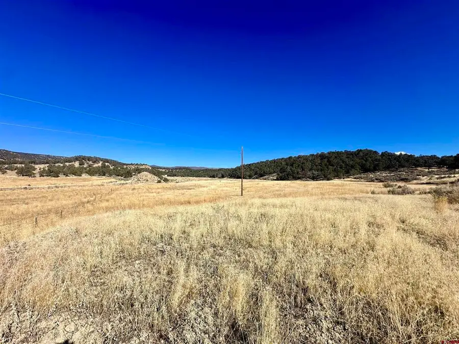 TBD Cactus Park Road, Cedaredge, CO 81413 - #3