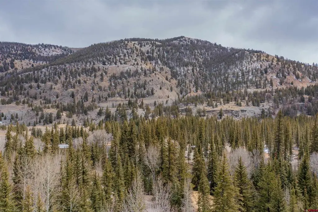 2743 Silver Coin Lane, Lake City, CO 81235 - #1