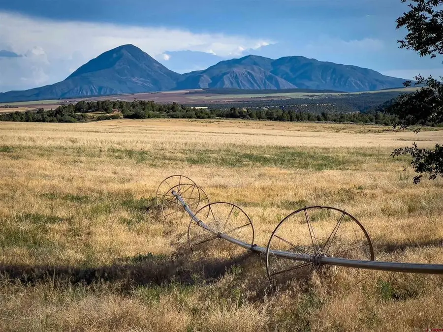 19234 Road 16 & 19444 Road 16.5, Yellow Jacket, CO 81335 - #2