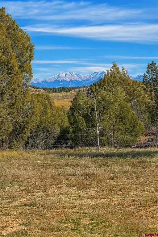 21769 Road V, Lewis, CO 81327 - #2