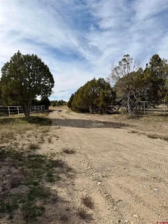 21769 Road V, Lewis, CO 81327 - #3