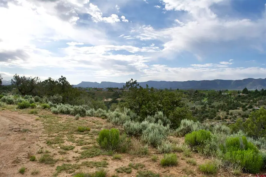 Lot 7 Road K.3, Cortez, CO 81321 - #3