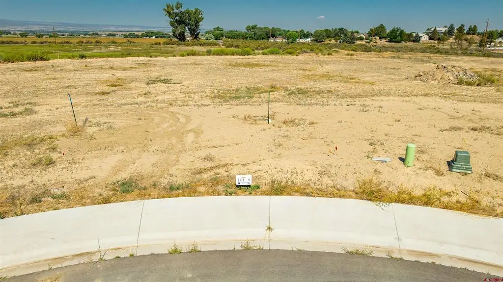 Lot 9 Galway Court, Montrose, CO 81401 - #1