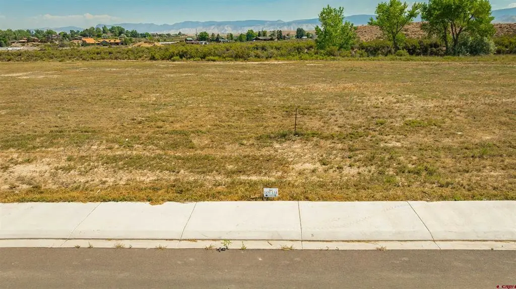 Lot 14 Killarney Lane, Montrose, CO 81401 - #1