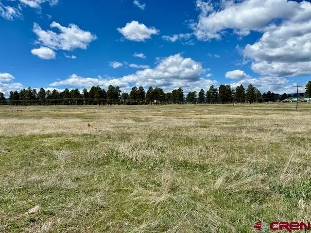 77 W Mccabe Street, Pagosa Springs, CO 81147 - #2
