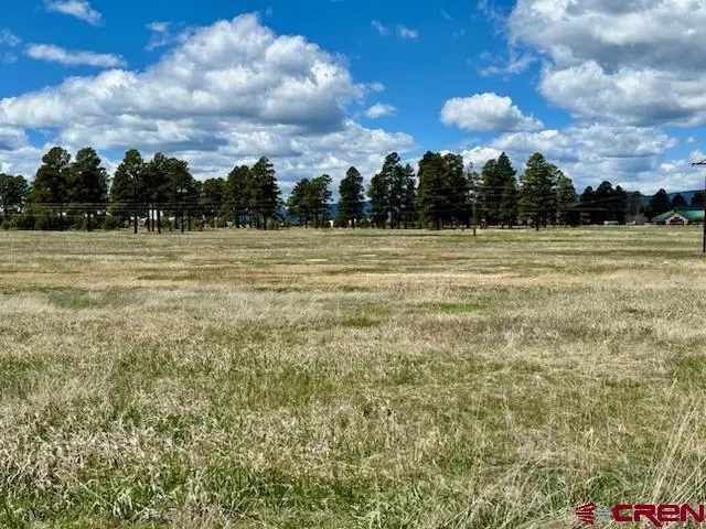 77 W Mccabe Street, Pagosa Springs, CO 81147 - #3