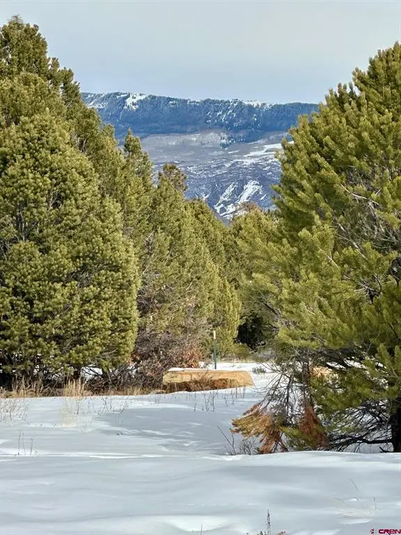 TBD (Lot 533) N Badger Trail, Ridgway, CO 81432 - #1
