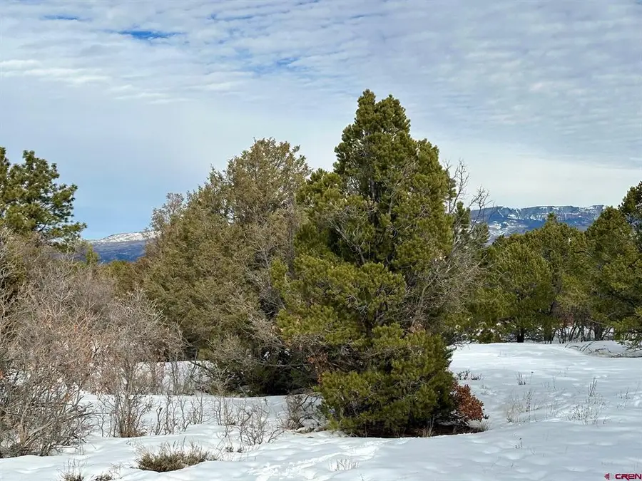 TBD (Lot 533) N Badger Trail, Ridgway, CO 81432 - #2