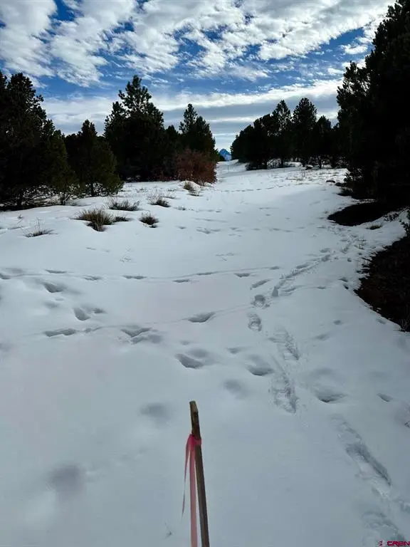 TBD (Lot 533) N Badger Trail, Ridgway, CO 81432 - #3