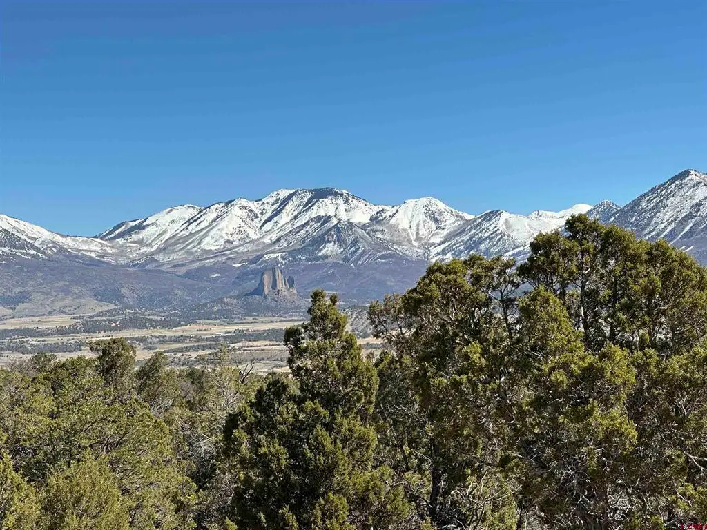 38.06 tbd Black Bear Trail, Crawford, CO 81415 - #1