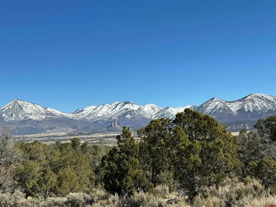 38.06 tbd Black Bear Trail, Crawford, CO 81415 - #3