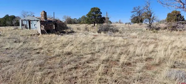 51981 Highway 491 Highway, Cahone, CO 81320