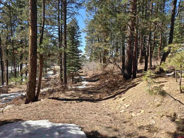 Lot 9 Groves Drive, Durango, CO 81301