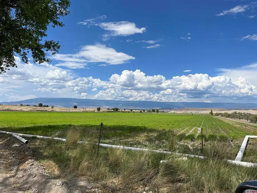 TBD D50 Road, Delta, CO 81416 - #2