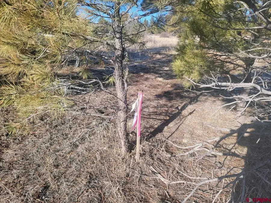 642 Trails Boulevard, Pagosa Springs, CO 81147 - #2