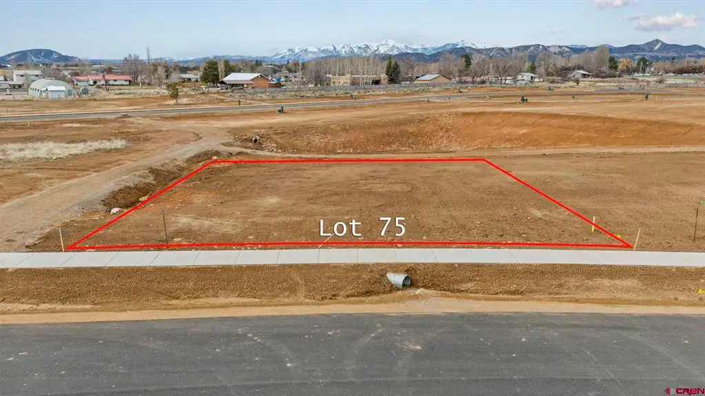 113 Cielo Way, Durango, CO 81303 - #1