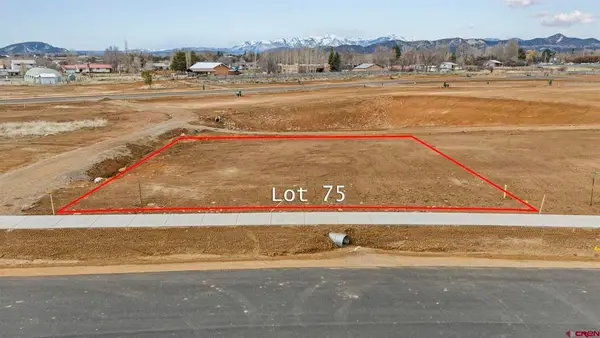113 Cielo Way, Durango, CO 81303