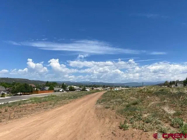 364 Sunflower Lane, Bayfield, CO 81122 - #3