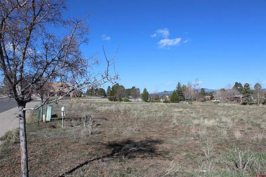 X Cornerstone Drive, Pagosa Springs, CO 81147 - #3