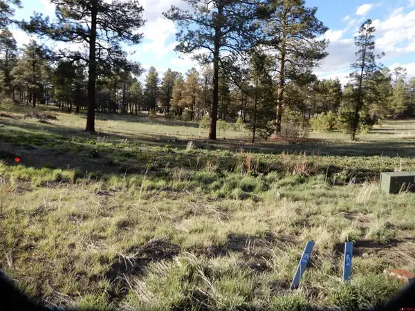 322 Harman Park Drive, Pagosa Springs, CO 81147