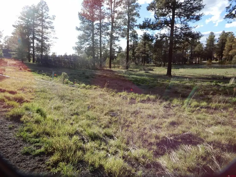322 Harman Park Drive, Pagosa Springs, CO 81147 - #2