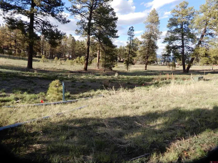 322 Harman Park Drive, Pagosa Springs, CO 81147 - #3