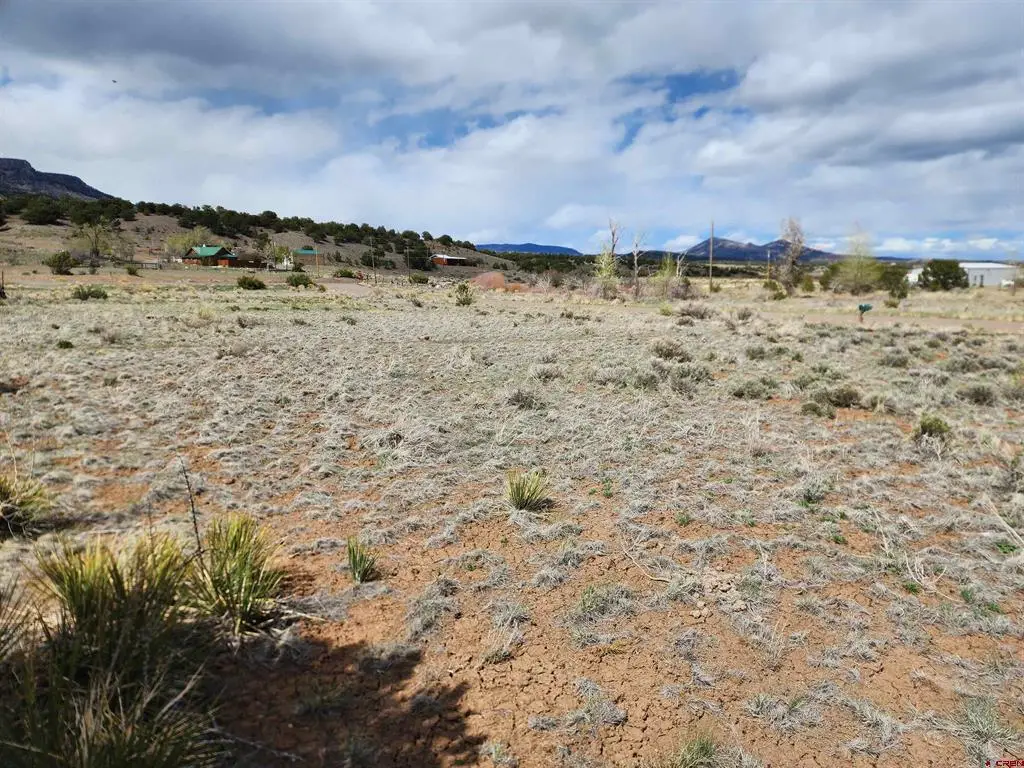 1289 Mohee Road, South Fork, CO 81154 - #1