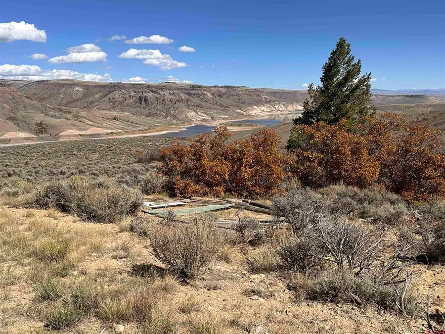 14111 County Road 26, Gunnison, CO 81230 - #2