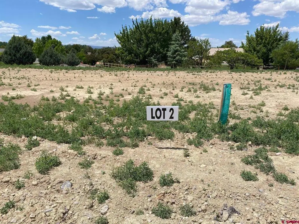 Lot 2 6700 Road, Montrose, CO 81401 - #1