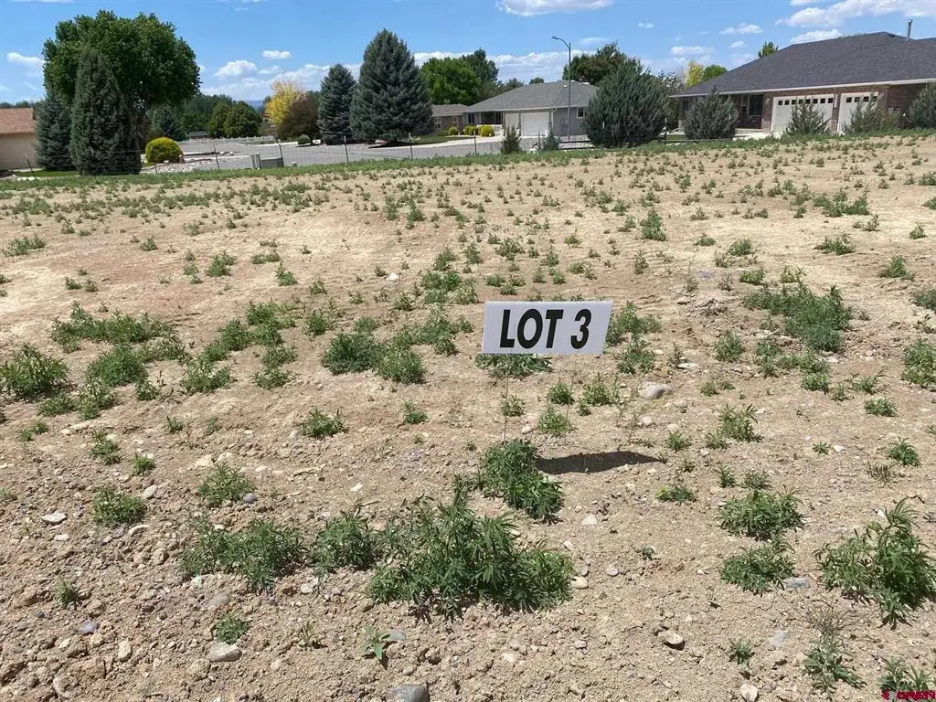 Lot 3 6700 Road, Montrose, CO 81401 - #1