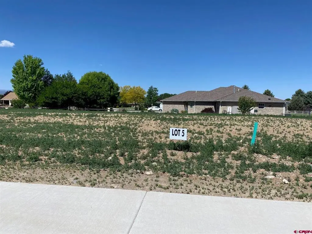 Lot 5 6700 Road, Montrose, CO 81401 - #1
