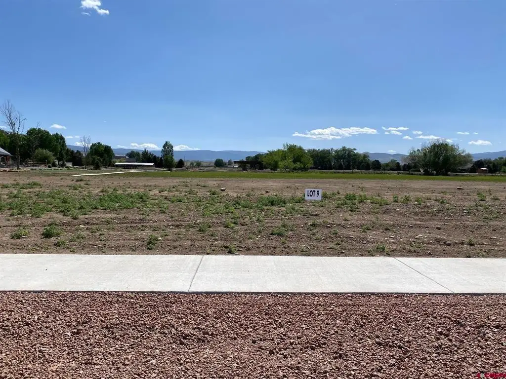 Lot 9 6700 Road, Montrose, CO 81401 - #1
