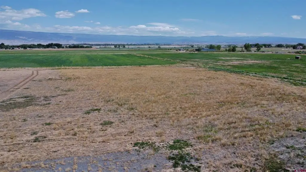 17185 B Road, Delta, CO 81416 - #1