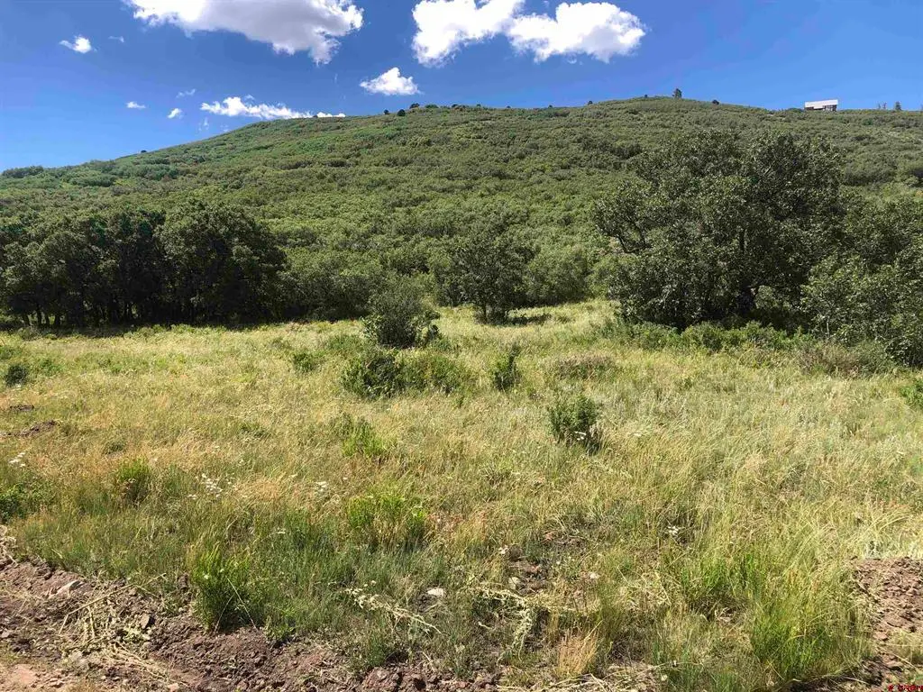 Lot 61 Road H.4, Dolores, CO 81323 - #1