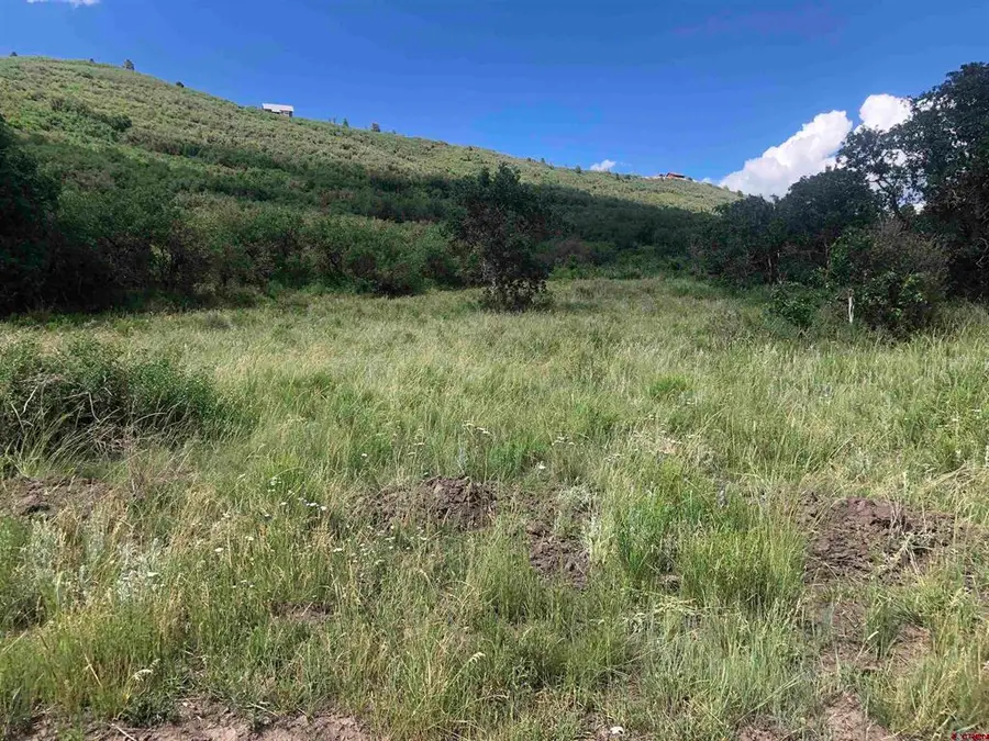 Lot 61 Road H.4, Dolores, CO 81323 - #2