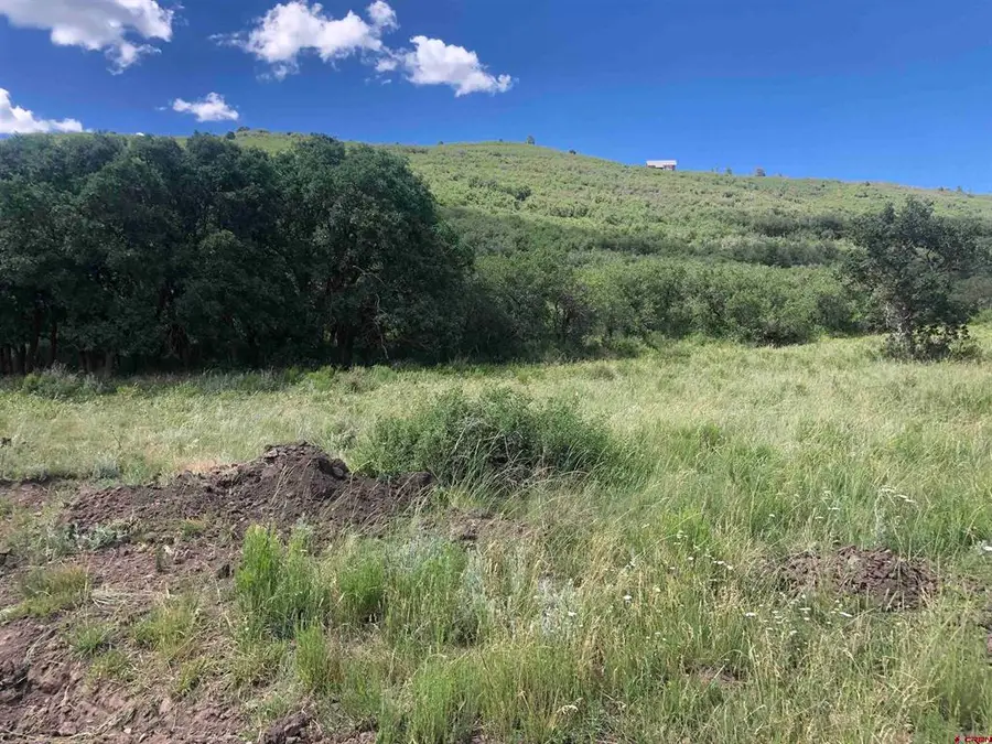 Lot 61 Road H.4, Dolores, CO 81323 - #3