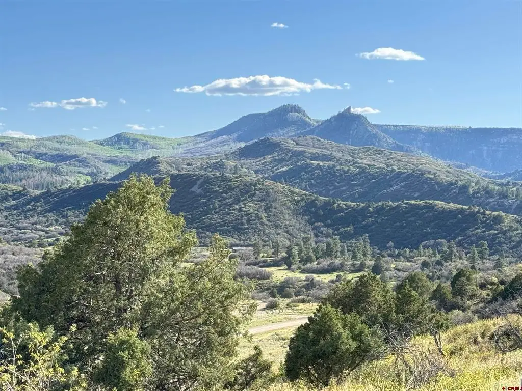 4625 Road 31 Lot 20, Dolores, CO 81323 - #1