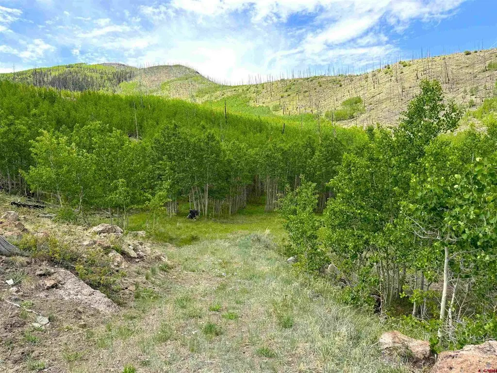 380 Bobcat Court, South Fork, CO 81154 - #1