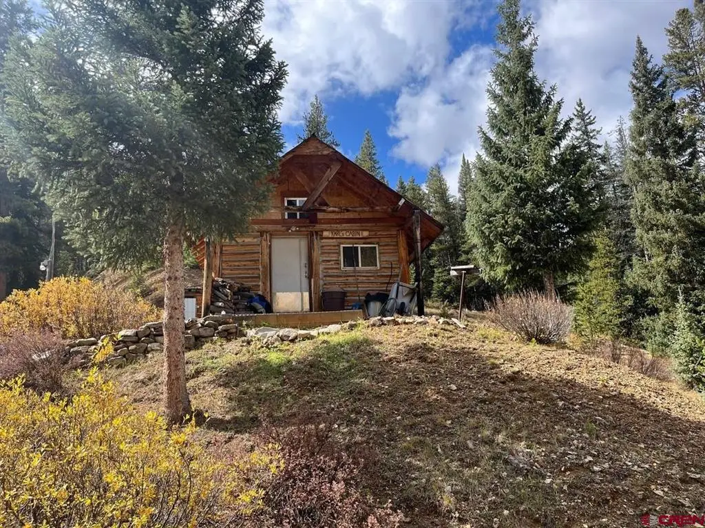 400 Forest Service Road 550, Almont, CO 81210 - #1