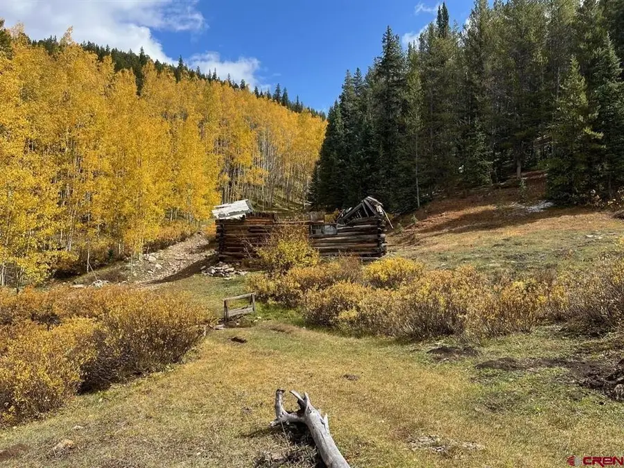 400 Forest Service Road 550, Almont, CO 81210 - #2