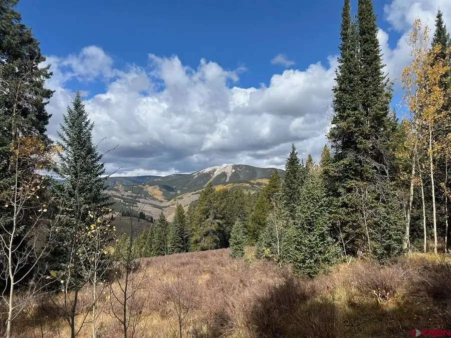 400 Forest Service Road 550, Almont, CO 81210 - #3